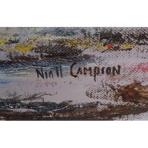 50 - NIALL CAMPION