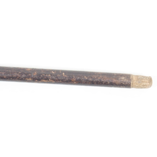 1166 - 19TH-CENTURY EBONY WALKING STICK