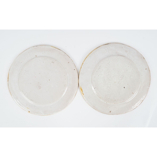 144 - PAIR 18/19TH-CENTURY MAJOLICA PLATES