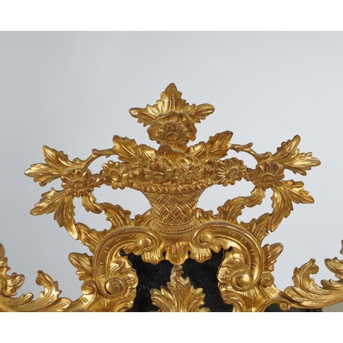 186 - CARVED ROCOCO GILT WOOD PIER MIRROR