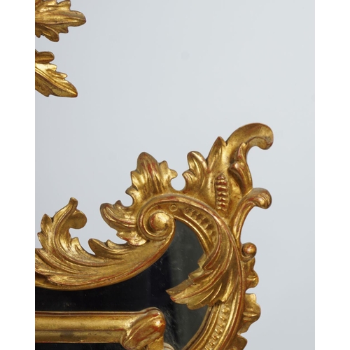 186 - CARVED ROCOCO GILT WOOD PIER MIRROR