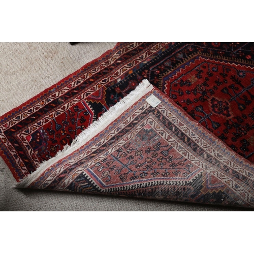 1116 - PERSIAN RUG