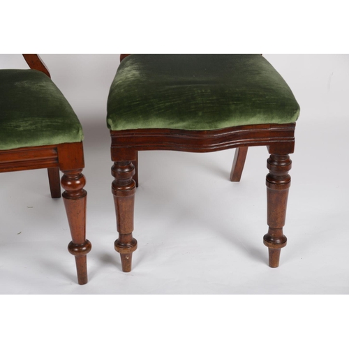 125 - SET OF 6 VICTORIAN MAHOGANY DINING CHAIRS