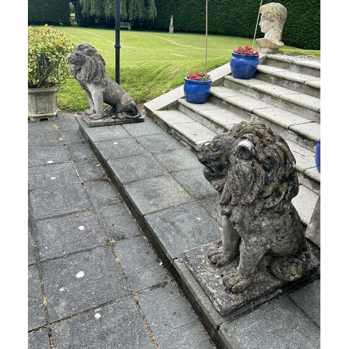 1302 - PAIR MOULDED STONE LIONS