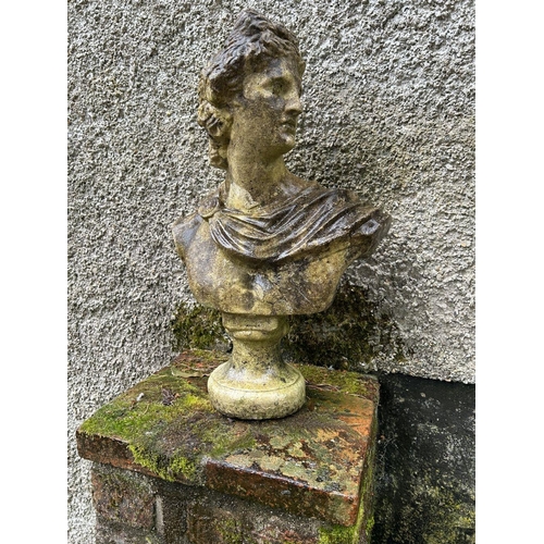 1336 - MOULDED STONE GARDEN BUST