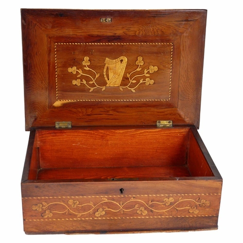 20 - 19TH-CENTURY KILLARNEY ARBUTUS & YEW WOOD BOX