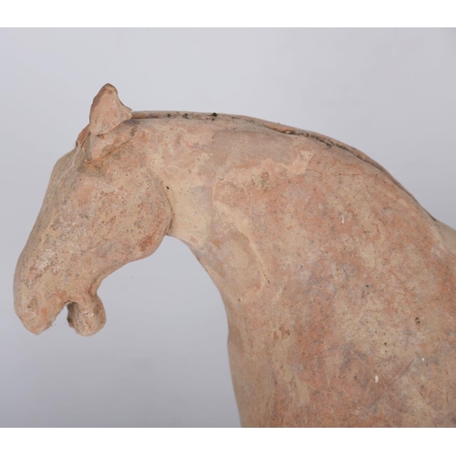 201 - CHINESE TERRACOTTA HORSE