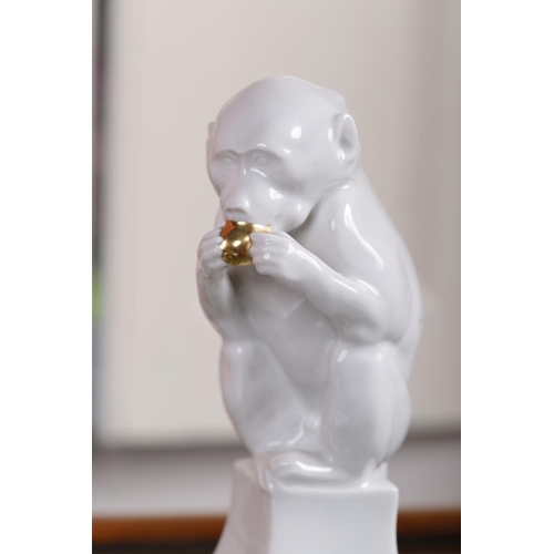 455 - GERMAN MAY & LINDER PORCELAIN MONKEY