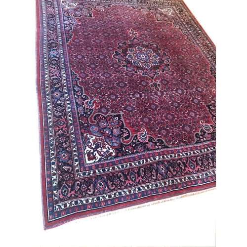 488 - WEST PERSIA BIDJAR CARPET