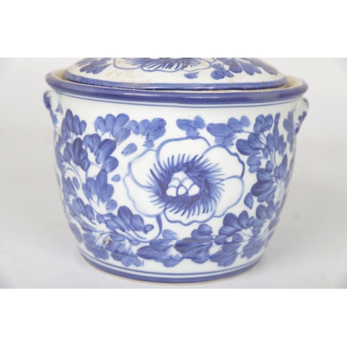 507 - CHINESE BLUE AND WHITE PORCELAIN JAR