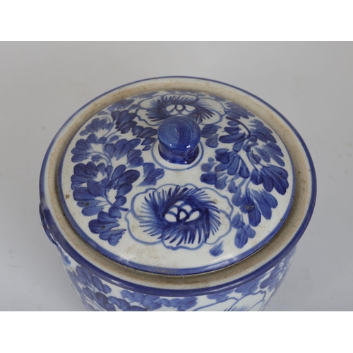 507 - CHINESE BLUE AND WHITE PORCELAIN JAR