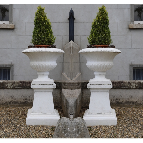 1427 - PAIR OF MOULDED STONE URNS
each raised on a square plinth.