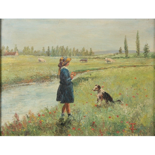 Lot 5         