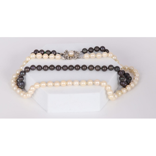 1183 - DOUBLE STRAND OF BLACK AND WHITE PEARLS