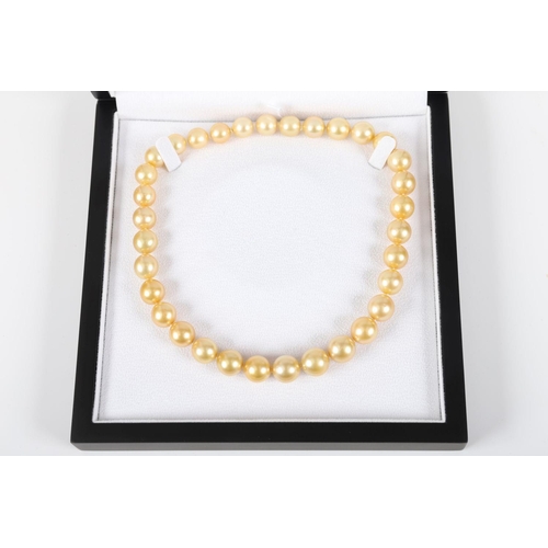 1190 - GOLDEN SOUTH SEA AUSTRALIAN PEARL NECKLACE