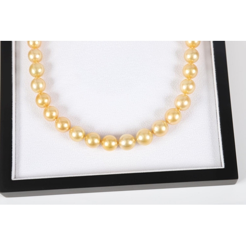 1190 - GOLDEN SOUTH SEA AUSTRALIAN PEARL NECKLACE