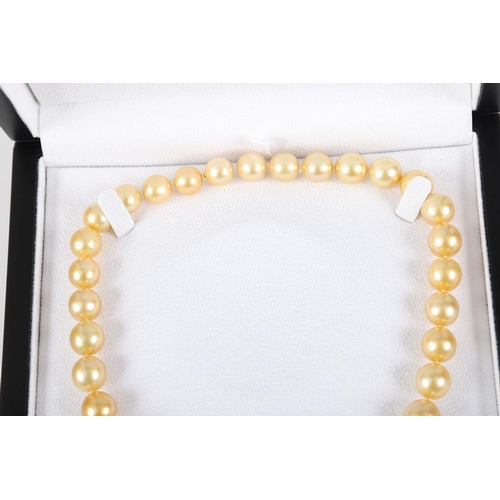 1190 - GOLDEN SOUTH SEA AUSTRALIAN PEARL NECKLACE