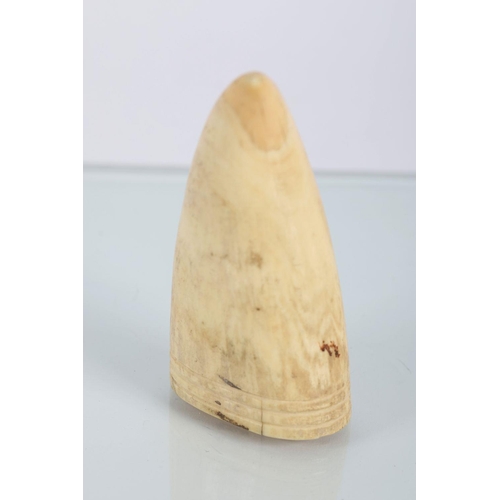 123 - SCRIMSHAW WHALE TOOTH