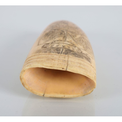 123 - SCRIMSHAW WHALE TOOTH