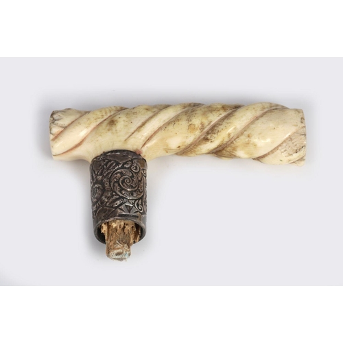 1604 - SILVER & WHALE BONE WALKING STICK HANDLE