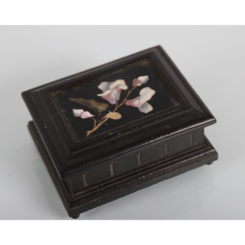 785 - 19TH-CENTURY GRAND TOUR EBONY BOX