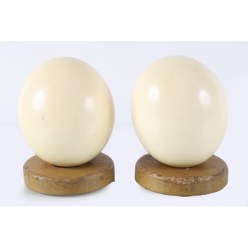 207 - 2 OSTRICH EGGS