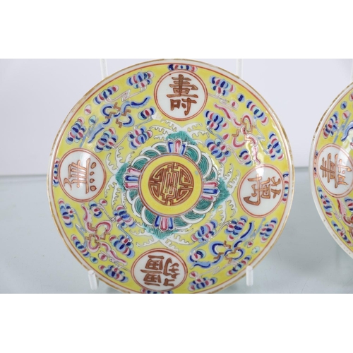 249 - PAIR OF CHINESE GUANGXU SAUCER DISHES