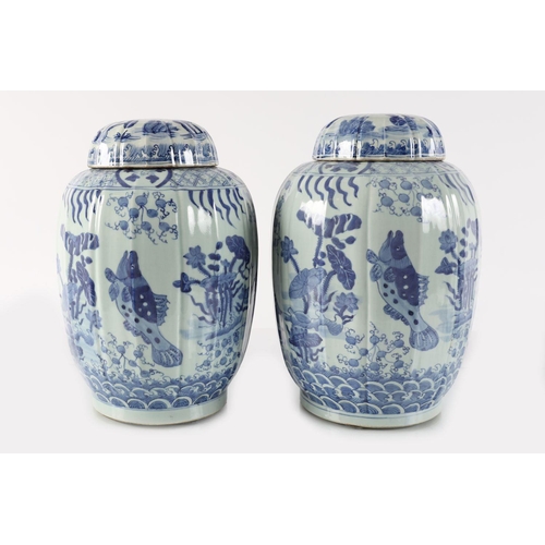 345 - PAIR CHINESE BLUE & WHITE GINGER JARS