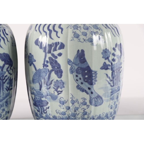 345 - PAIR CHINESE BLUE & WHITE GINGER JARS