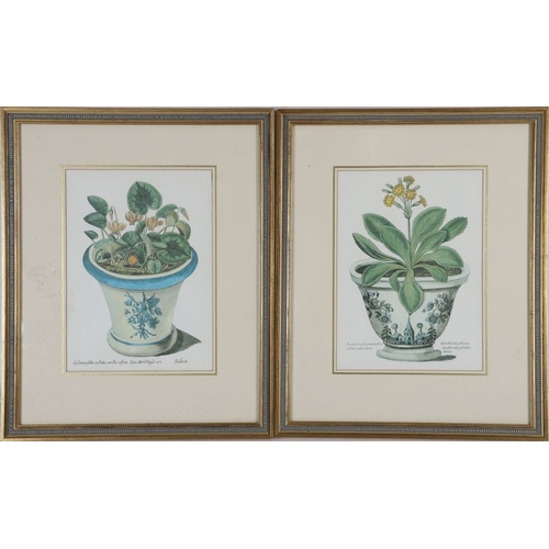 163 - 7 LATE 18/19TH-CENTURY COLOURED BOTANICAL PRINTS