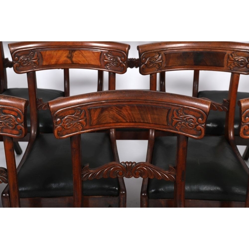 338 - SET OF 12 WILLIAM IV MAHOGANY DINING CHAIRS