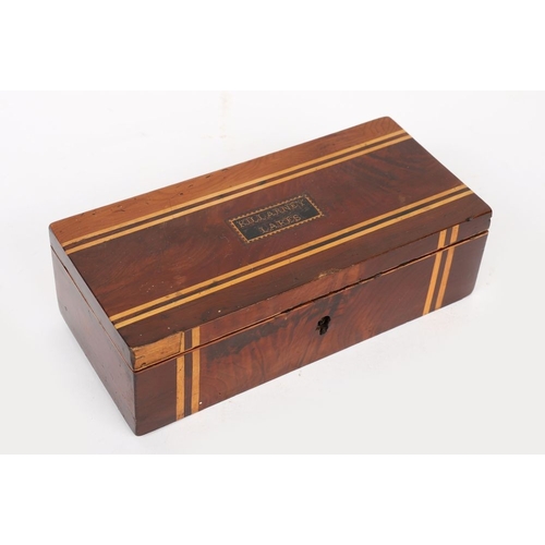 8 - 19TH-CENTURY KILLARNEY WARE YEW WOOD AND ARBUTUS LADY'S GLOVE BOX