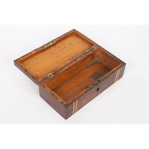 8 - 19TH-CENTURY KILLARNEY WARE YEW WOOD AND ARBUTUS LADY'S GLOVE BOX