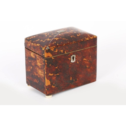 840 - GEORGIAN TORTOISESHELL & SILVER INLAID TEA CADDY