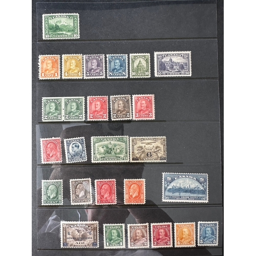 307 - CANADA early mint stamps from 1903 KE7 on Hangner Page ( and reverse ). Many medium / better values ... 