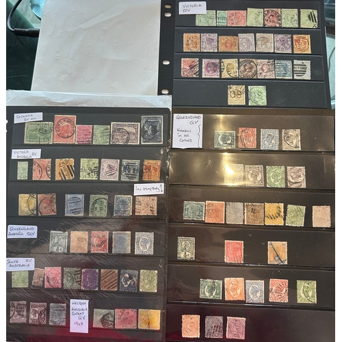 Lot 519       