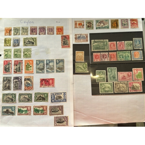 Lot 521       