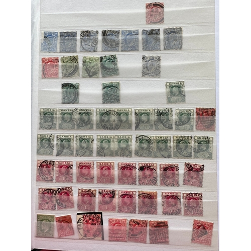 438 - GB, Canada, Gambia (inc. pairs), Edward VII used stamps in dealers stock book, perfins noted, some g... 