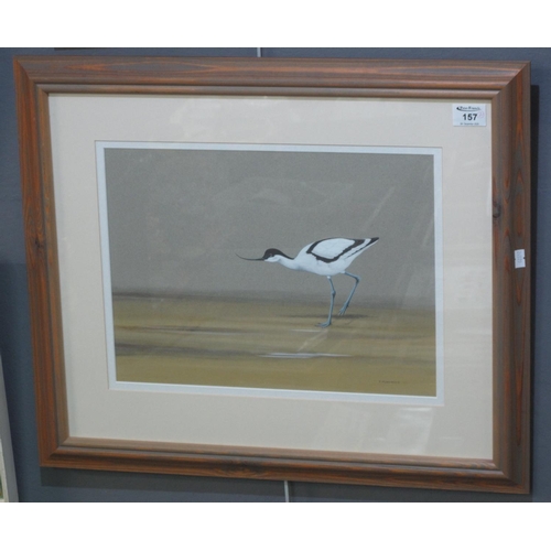 157 - P Makepeace (20th Century British), study of an Avocet, signed and dated 1971, watercolours. 29 x 40... 