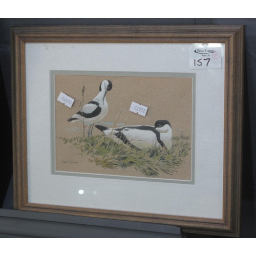 157 - P Makepeace (20th Century British), study of an Avocet, signed and dated 1971, watercolours. 29 x 40... 