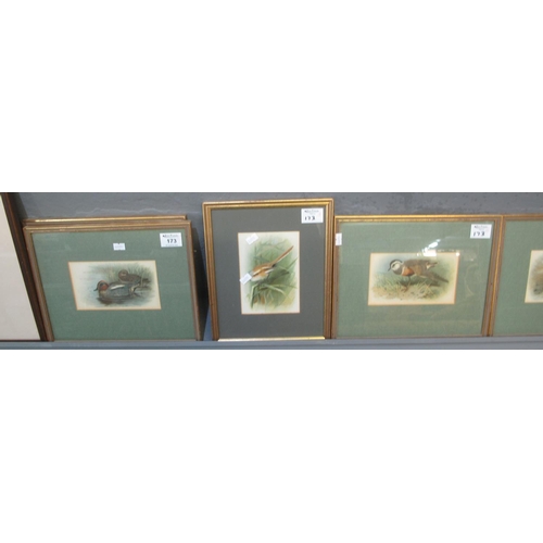 173 - After Archibald Thorburn, a collection of assorted framed wild bird coloured prints, framed and glaz... 