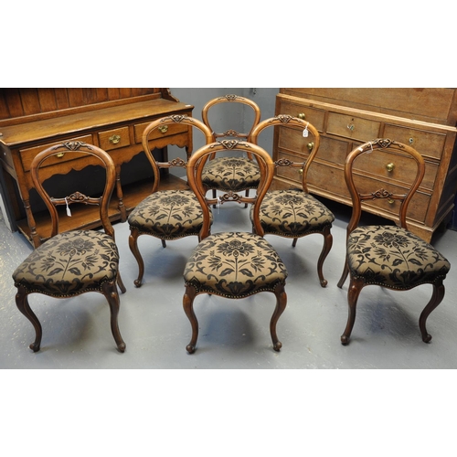 479 - Set of six Victorian walnut balloon back dining chairs having foliate stuff over seats, standing on ... 