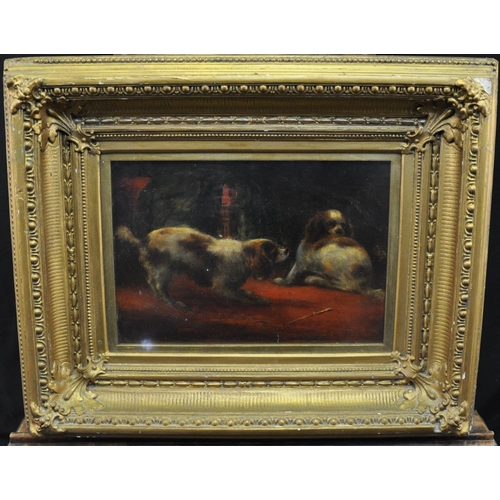 103 - After George Armfield (British 19th Century), two King Charles Cavalier Spaniels, oils on canvas, 25... 