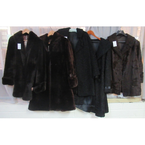 463 - Two vintage black Astrakhan fur coats, a calf skin coat with Astrakhan collar and two mouton or beav... 