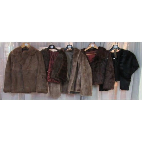 470 - Five vintage fur items to include; black fur stole, brown fur capelet, three short jackets. (5)
(B.P... 