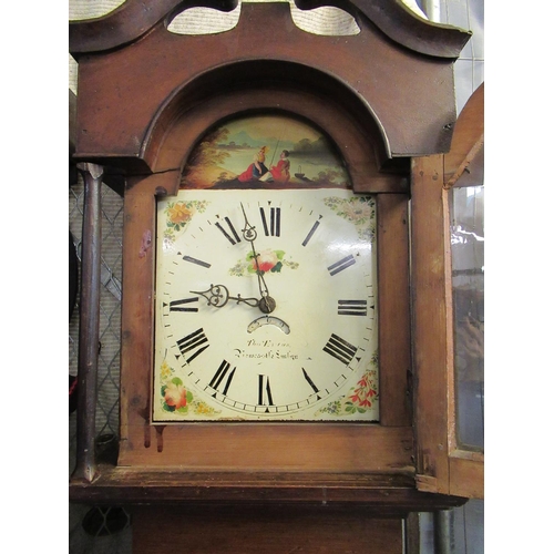 446 - Early 19th century Welsh 30 hour longcase clock marked Thomas Evans, Newcastle Emlyn having painted ... 