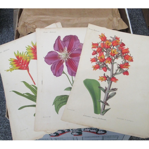 358 - ONE box containing a large assortment of book plates, prints, etc. to include: botanical prints, bir... 