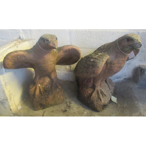 553 - 2 Weathered composition garden figures of eagles with partially  outstretched wings. 51cm high appro... 