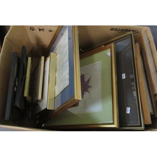 Lot 160       