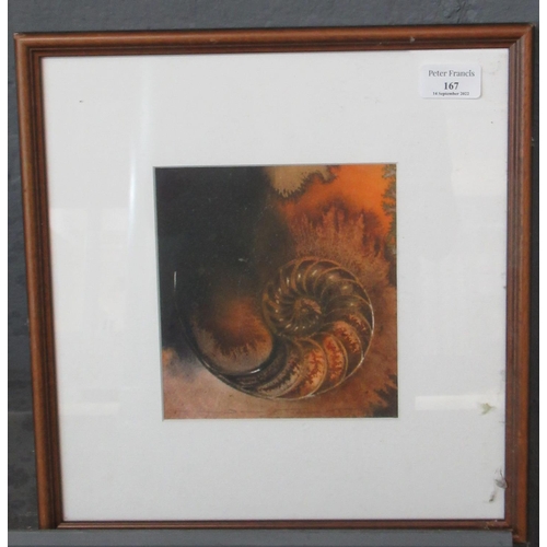 Lot 167       